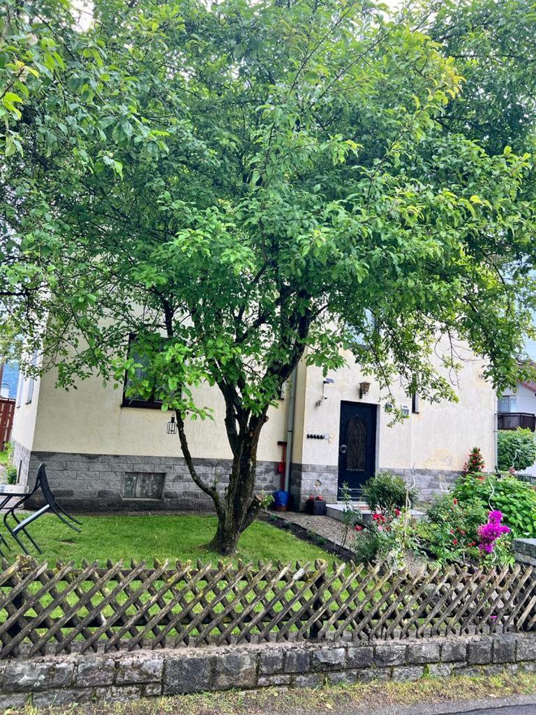 Pension Donaublick Grein 1 , Spitzfeldstr 1 Exterior foto
