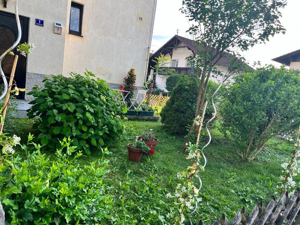 Pension Donaublick Grein 1 , Spitzfeldstr 1 Exterior foto